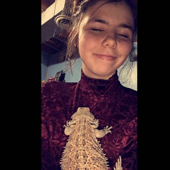 Meet your Posher, Sam - Picture 4 of 4